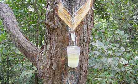 1592291305392579.jpg timg (2).jpg