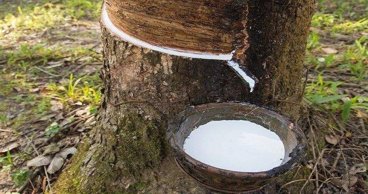 1592448110582400.jpg timg (1).jpg